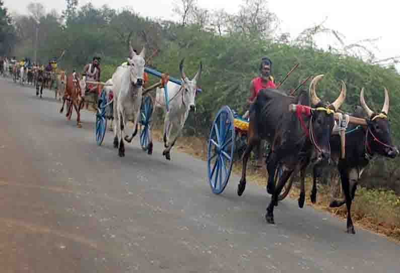 காரைக்குடி அருகே மாட்டு வண்டி பந்தயம்