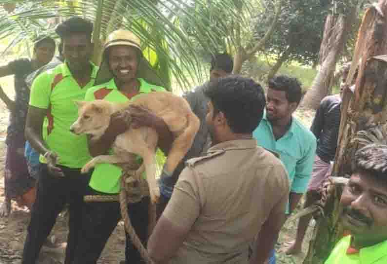 கறம்பக்குடி அருகே 60 அடி ஆழ கிணற்றில் விழுந்த 2 நாய்கள் உயிருடன் மீட்பு தீயணைப்பு வீரர்களுக்கு பொதுமக்கள் பாராட்டு