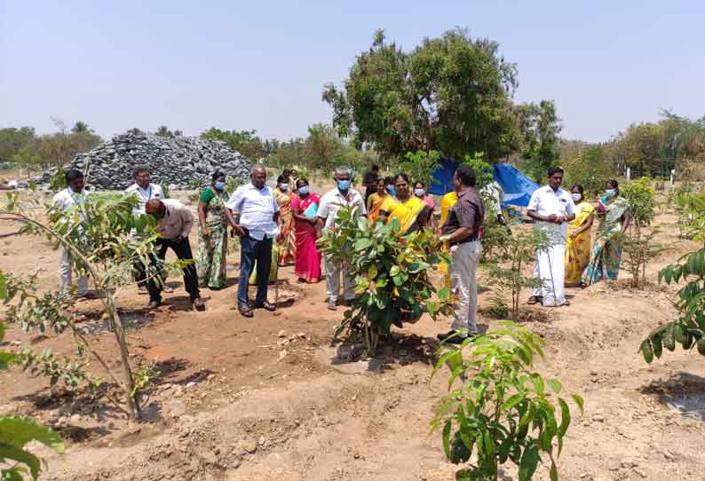 மோகனூர், எருமப்பட்டி பகுதிகளில் தேசிய ஊரக வளர்ச்சி திட்டக்குழு தலைவர் ஆய்வு