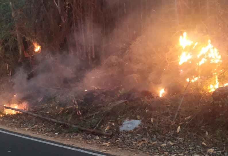 கொல்லிமலைக்கு செல்லும் கொண்டை ஊசி வளைவுகளில் திடீர் தீ