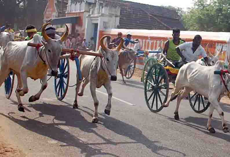 கல்லல் அருகே மாட்டு வண்டி பந்தயம்