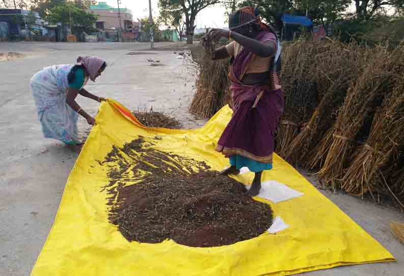 எள் விலை உயர்வால் விவசாயிகள் மகிழ்ச்சி