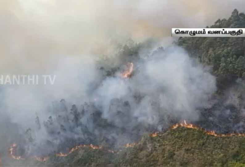 கொழுமம் வனப்பகுதியில் பற்றி எரியும் காட்டுத் தீ; 100-க்கும் மேற்பட்ட ஏக்கர் எரிந்து சேதம்