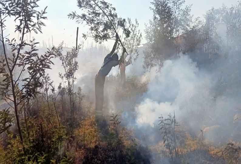 நீலகிரி கோட்டத்தில் வனப்பகுதியில் தீ வைத்தால் கடும் நடவடிக்கை