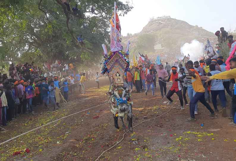 தேன்கனிக்கோட்டை அருகே எருது விடும் விழாவில் சீறிப்பாய்ந்த காளைகள்