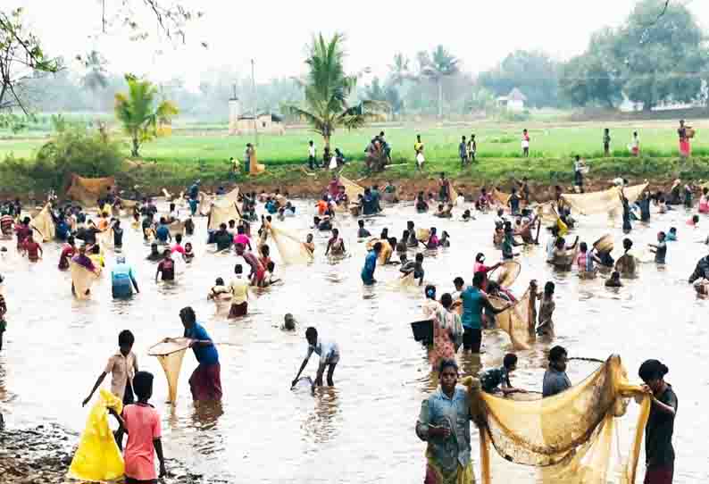 கண்மாயில் இறங்கி போட்டிப்போட்டு மீன்களை பிடித்த கிராம மக்கள்