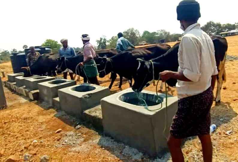 கால்நடைகளுக்கு தண்ணீர் தொட்டி