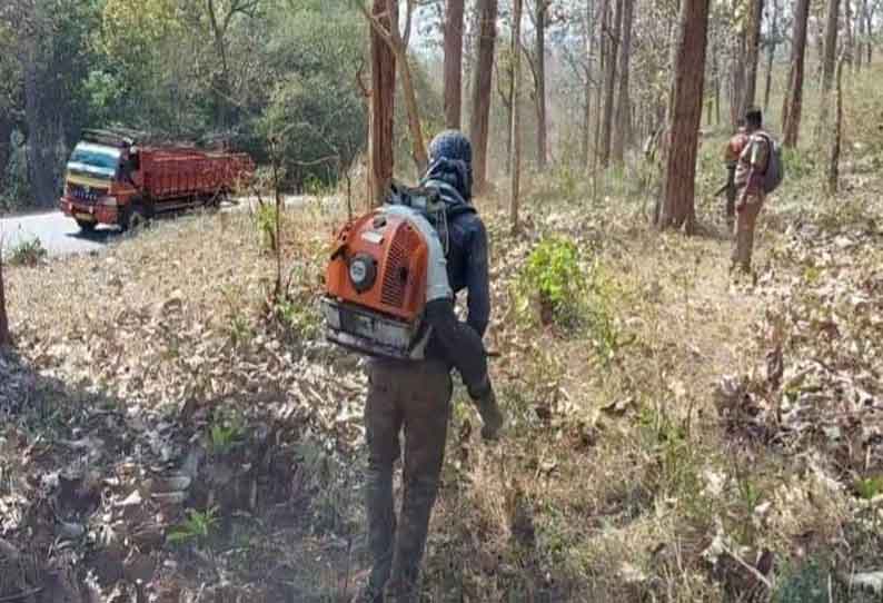 முதுமலையில் தீ பரவாமல் இருக்க நவீன எந்திரம் உதவியுடன் காய்ந்த சருகுகள் அகற்றம்