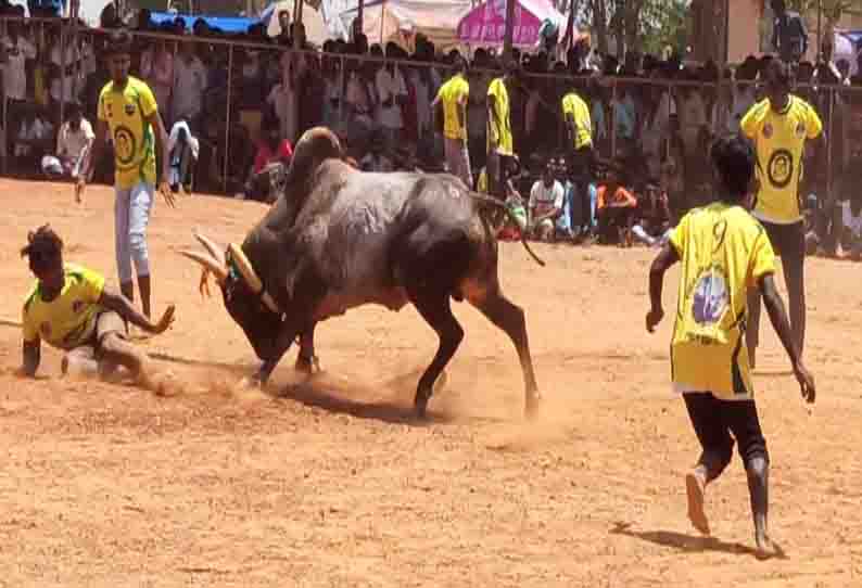 வடமாடு மஞ்சுவிரட்டு