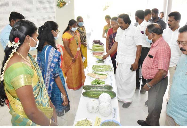 பாரம்பரியமிக்க இயற்கை விவசாய பயிர்களை  நடவு செய்ய முன்வர வேண்டும்;அமைச்சர் மனோ தங்கராஜ் பேச்சு