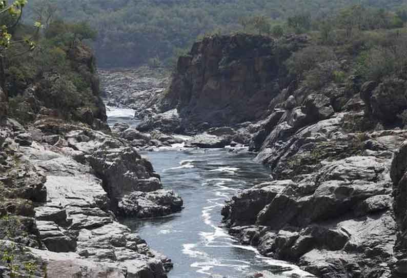 மேகதாது அணை விவகாரம்; கர்நாடக அரசை கண்டித்து பேரணி - விவசாயிகள் சங்கம் அறிவிப்பு