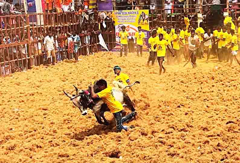 கண்டியாநத்தம் கிராமத்தில் ஜல்லிக்கட்டு:  காளைகளை வீரர்கள் போட்டிப்போட்டு அடக்கினர்