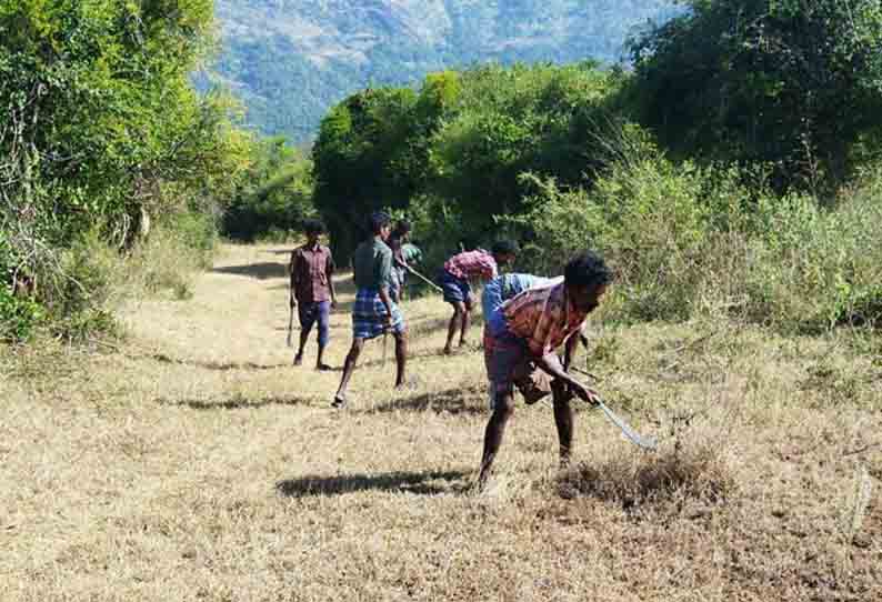 சாப்டூர் வனப்பகுதியில் தீத்தடுப்பு கோடுகள் வெட்டும் பணி