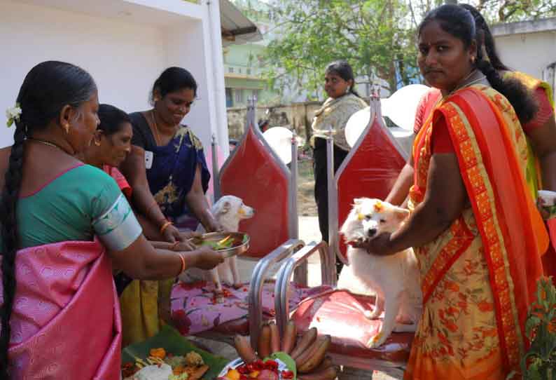 வளர்ப்பு நாய்க்கு வளைகாப்பு