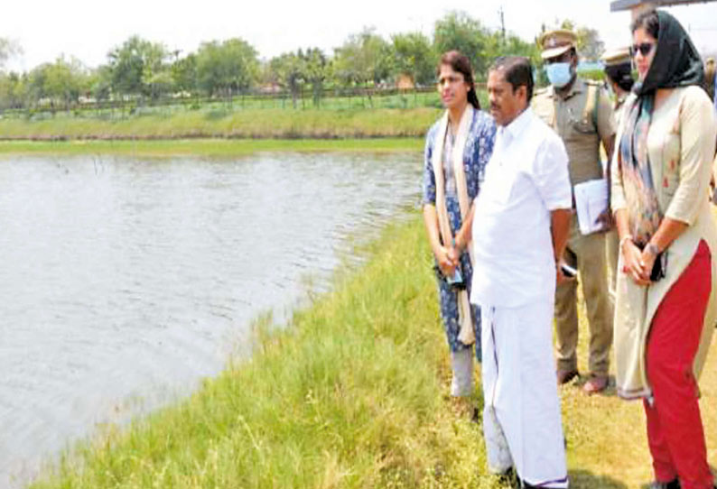 பள்ளிக்கரணை சதுப்புநில சுற்றுச்சூழல் பூங்காவில் அடிப்படை வசதிகள் மேம்பாட்டு திட்டம்- அமைச்சர் ராமச்சந்திரன்