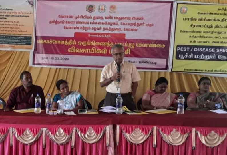 ஜல்லிபட்டியில் மக்காச்சோளத்தில் படைப்புழு தாக்குதல் மேலாண்மை பயிற்சி