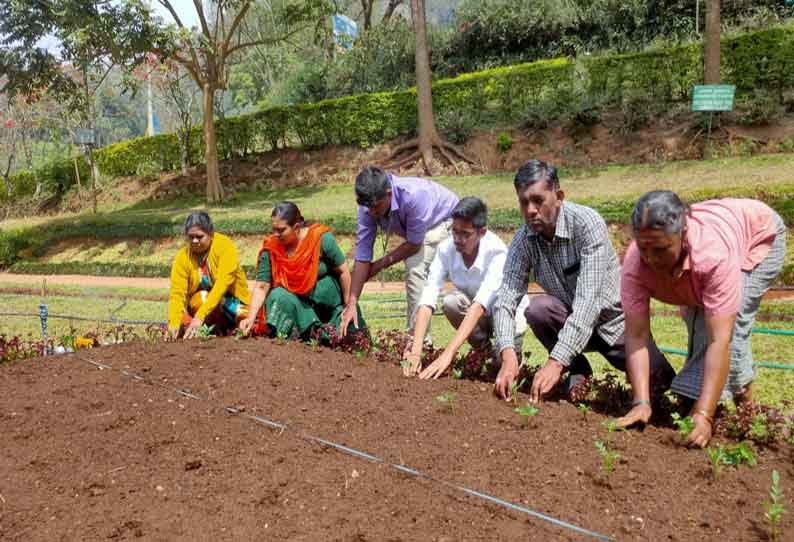 குன்னூர் காட்டேரி பூங்காவில் 1 ¾ லட்சம் மலர்நாற்றுகள் நடவு செய்யும் பணி தொடக்கம்