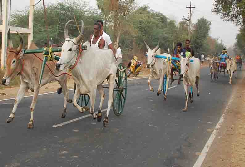 மாட்டு வண்டி பந்தயம்