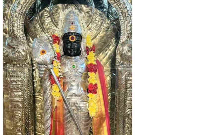 பழனியாண்டவர் கோவில் குடமுழுக்கு