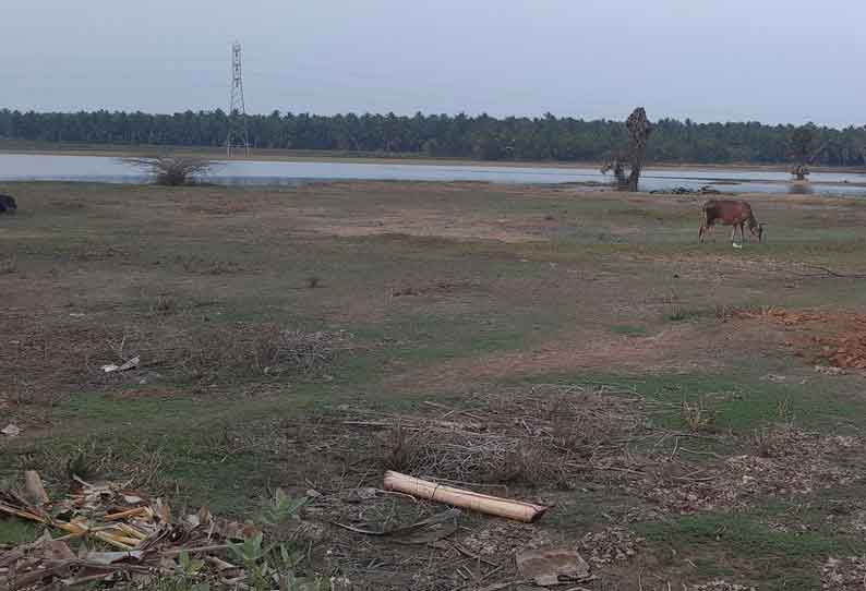 சுட்டெரிக்கும் வெயில் நீர்நிலைகளில் வேகமாக குறையும் தண்ணீர்