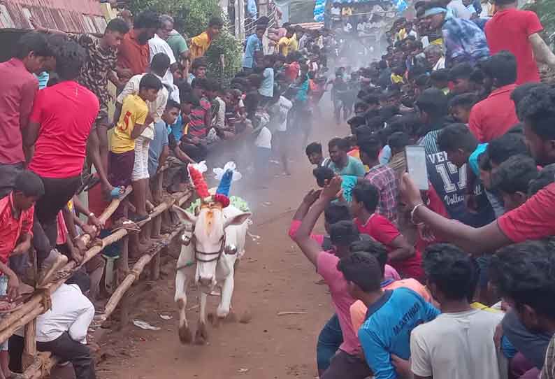 பென்னாத்தூரில் நடந்த எருது விடும் விழாவில் 354 காளைகள் பங்கேற்றன