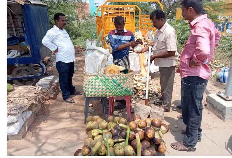 உடுமலையில் நுங்கு விற்பனை அமோகமாக நடந்து வருகிறது