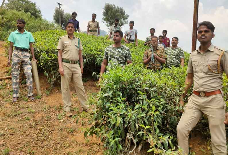 ரன்னிமேடு பகுதியில் காட்டு யானைகளை கண்காணிக்க குழு அமைப்பு