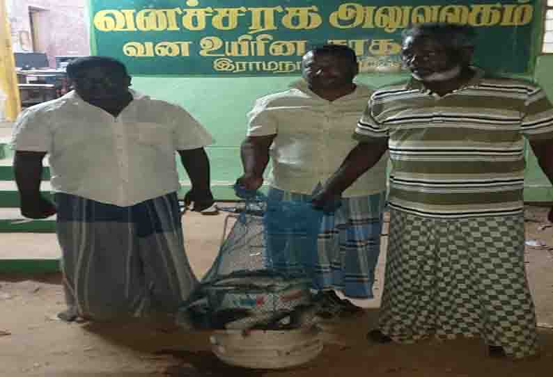 10 கிலோ கடல் அட்டைகளுடன் 3 பேர் கைது