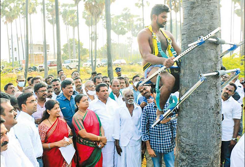 பனை மரம் ஏறும் கருவி செயல்முறை விளக்கம்