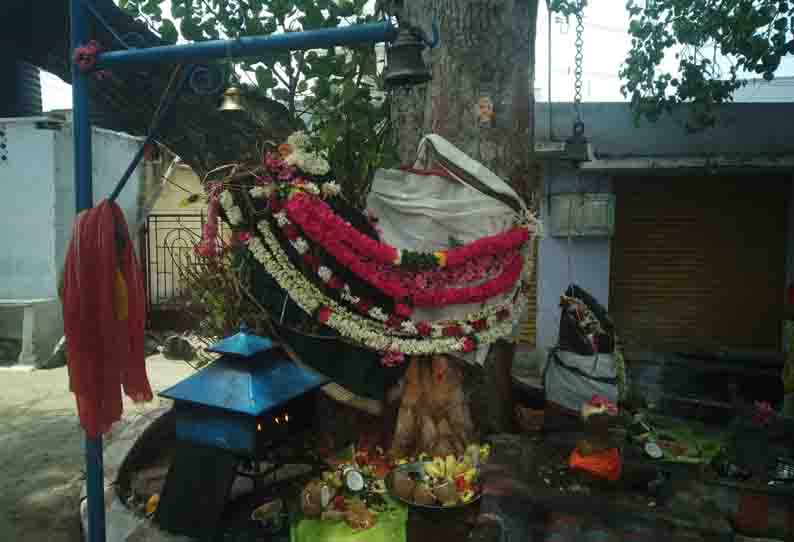 முனியப்ப சாமிக்கு சிறப்பு பூஜை