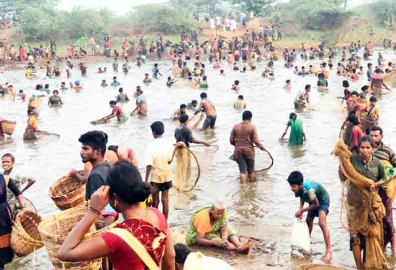 பாரம்பரிய மீன்பிடி திருவிழா