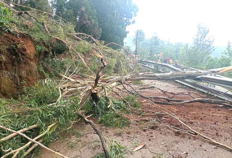 கோத்தகிரியில் பெய்த பலத்த மழையால் சாலையில் மரம் விழுந்தது