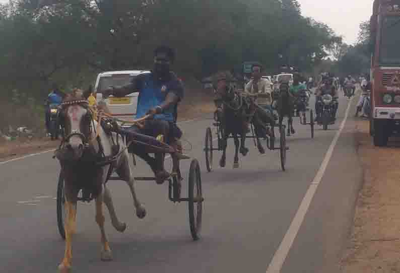 வம்பனில்  குதிரை, மாட்டு வண்டி பந்தயம்