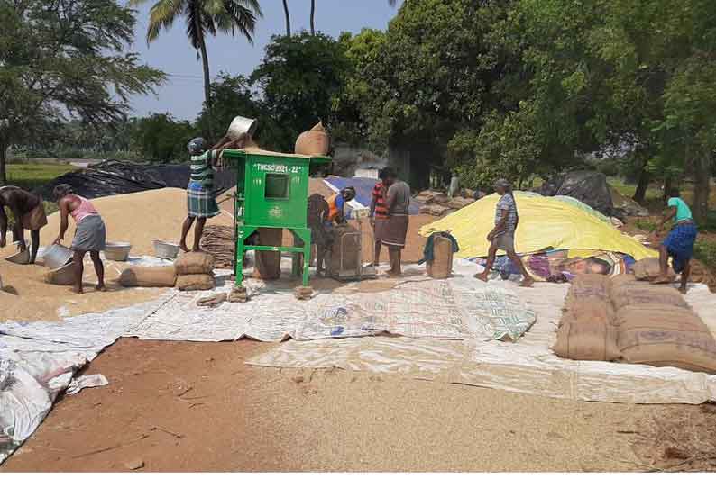 நெல் கொள்முதல் நிலையம் திறப்பு