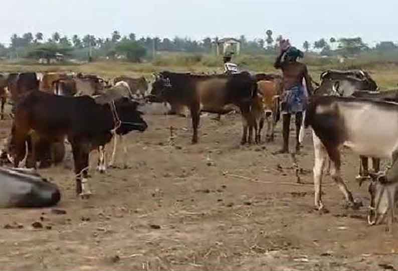 இயற்கை விவசாயத்துக்கு மாறும் விவசாயிகள்