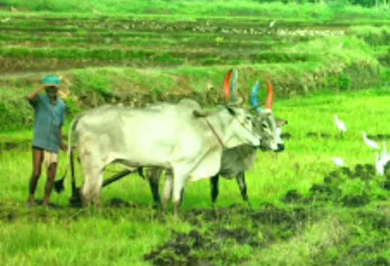 விவசாயிகள் குறைதீர்க்கும் நாள் கூட்டம்