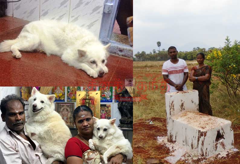 நன்றி உள்ள நாய்க்கு நன்றி கடன்; கல்லரை கட்டி பாசத்தை வெளிப்படுத்திய குடும்பம்...!