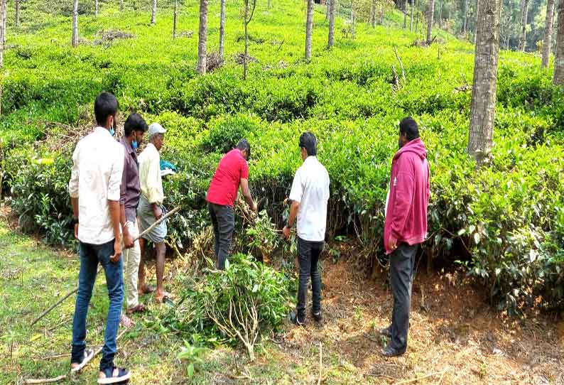 கோத்தகிரியில் நீர்நிலைகளில் ஆக்கிரமிப்புகளை அகற்றும் பணி