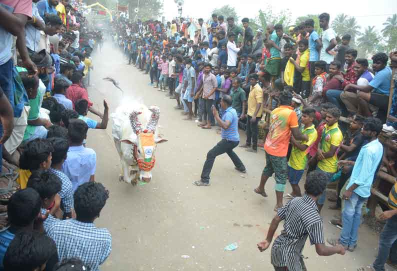 கிருஷ்ணகிரி அருகே 300 காளைகள் பங்கேற்ற எருது விடும் விழா