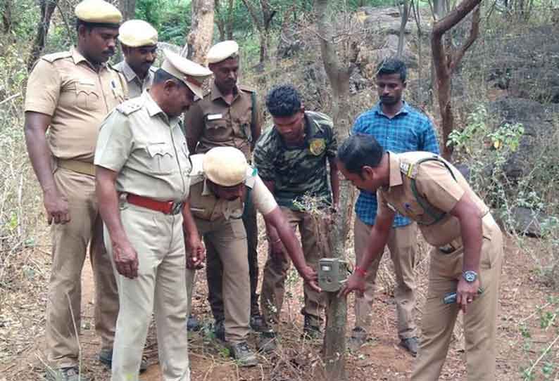 மேகமலை வனப்பகுதியில் கண்காணிப்பு கேமரா பொருத்தும் பணி தீவிரம்