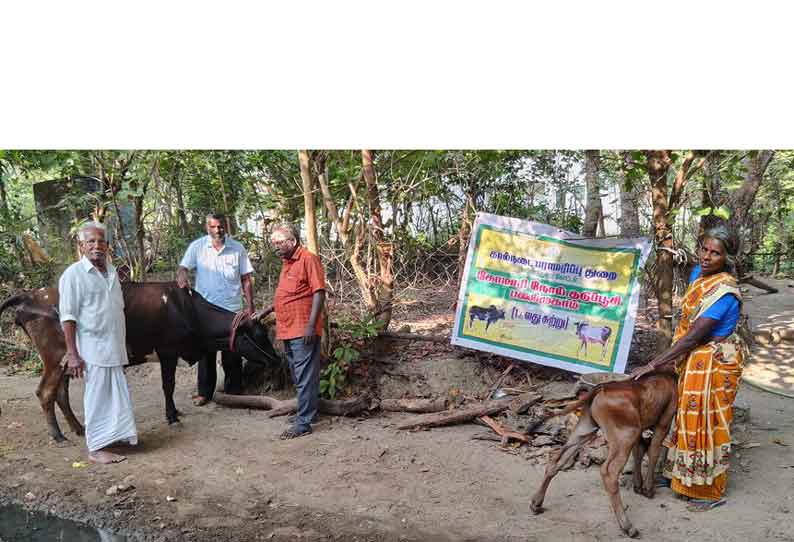 கோமாரி தடுப்பூசி முகாம்