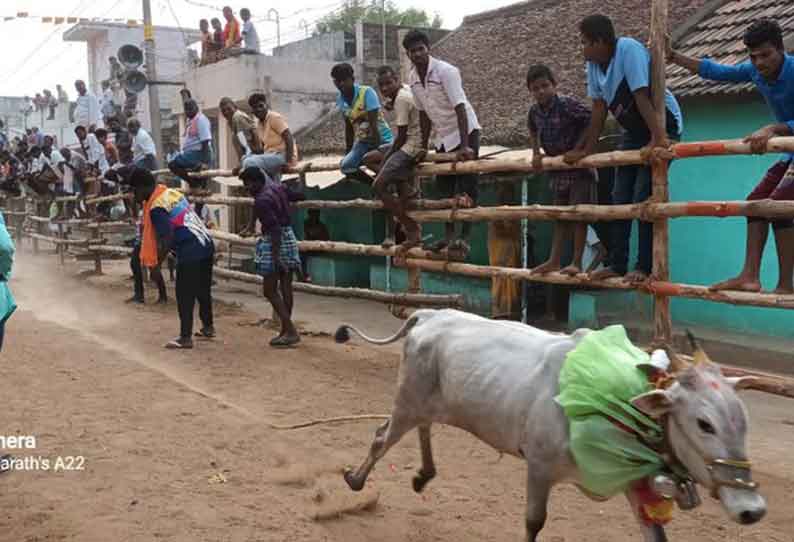 கலசபாக்கம் அருகே காளை விடும் விழா