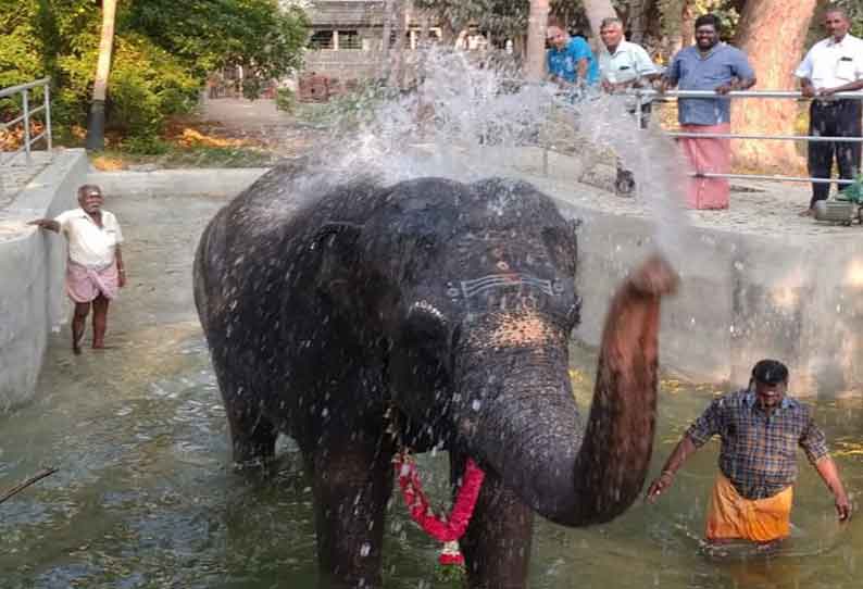 சாய்வு தளத்தில் பாசி படர்ந்ததால்  நீச்சல் குளத்தில் இறங்க சிரமப்பட்ட நெல்லையப்பர் கோவில் யானை சீரமைப்பு பணிகள் மேற்ெகாள்ள நடவடிக்கை