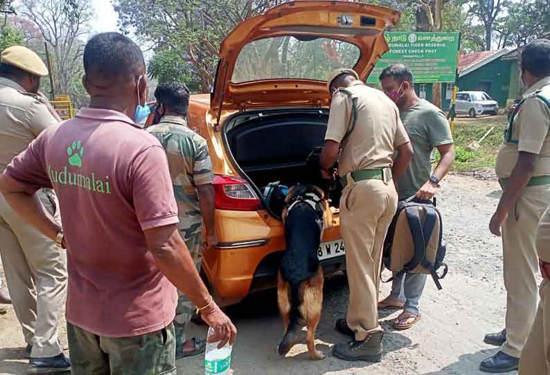 மோப்ப நாய் உதவியுடன் வனத்துறையினர் சோதனை