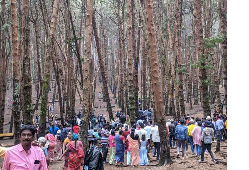 கொடைக்கானலில் சுற்றுலா பயணிகள் வருகை அதிகரிப்பு