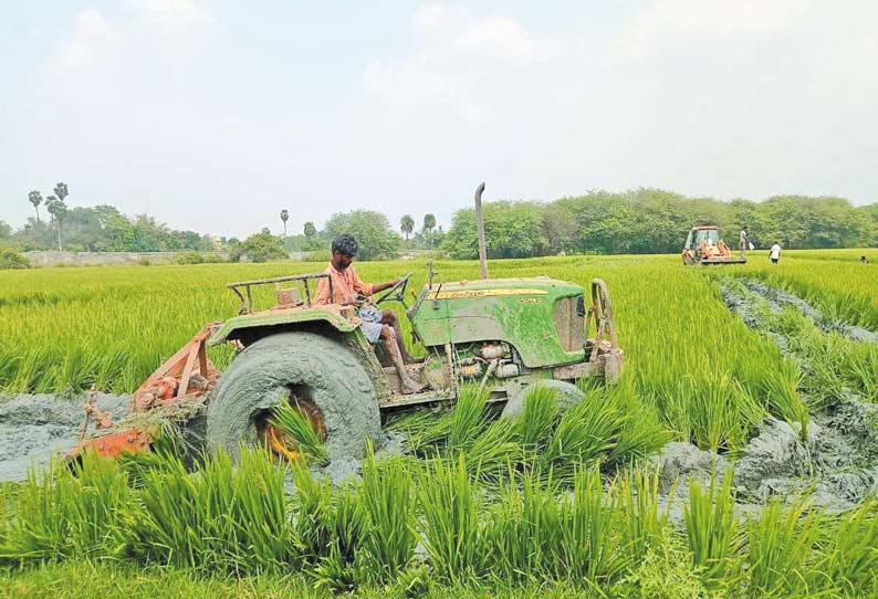 மேலானூர் கிராமத்தில் அரசு ஆக்கிரமிப்பு நிலம் மீட்பு