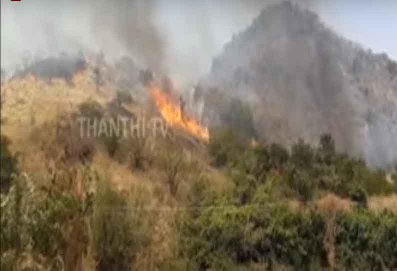 மே.தொடர்ச்சி மலையில் பற்றி எரியும் காட்டுத்தீ - வனத்துறையினர் மீது பொதுமக்கள் குற்றச்சாட்டு