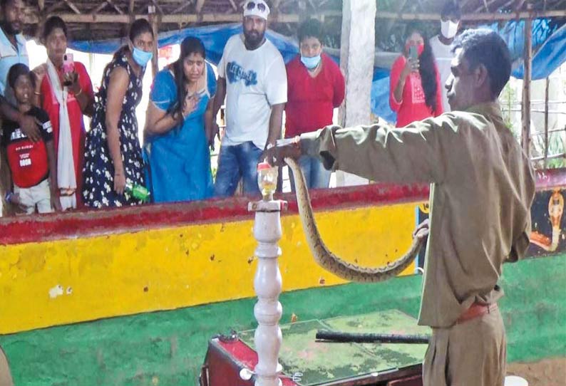 3 மாதங்களுக்கு பிறகு வடநெம்மேலி பாம்பு பண்ணை திறப்பு