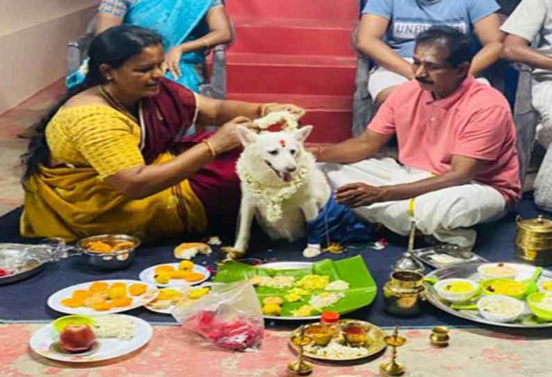 பொள்ளாச்சி அருகே நாய்க்கு வளைகாப்பு நிகழ்ச்சி