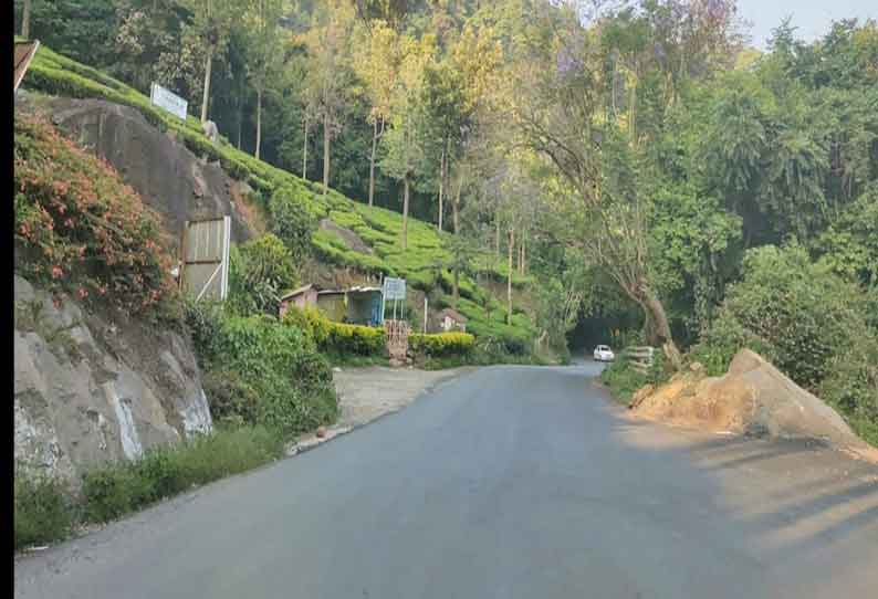 சனி ஞாயிற்றுக்கிழமை மட்டும் குன்னூர் மேட்டுப்பாளையம் சாலையை ஒரு வழிப்பாதையாக மாற்ற வேண்டும்